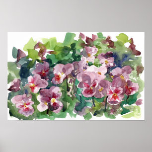 Stiefmütterchen-Blumengarten Burgunderrot Aquarell Poster