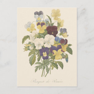 Stiefmütterchen Blumenstrauß Illustration Postkarte