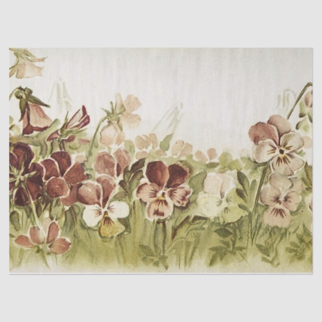 Stiefmütterchen Blumenwasser-Farbtöne Seidenpapier (Vorderseite)