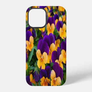 Stiefmütterchen-Blüte: Nahaufnahme der Gartenschön iPhone 12 Hülle