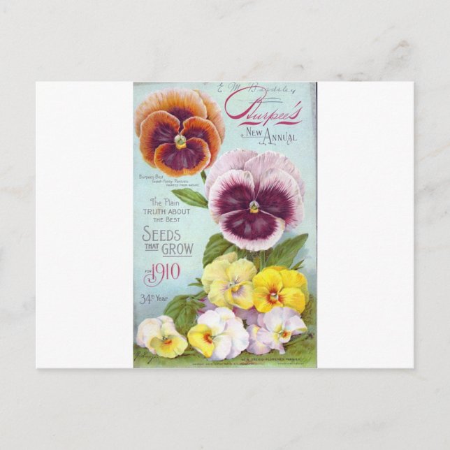 Stiefmütterchen im Vintage-Stil Postkarte (Vorderseite)