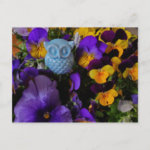 Stiefmütterchen mit Eule-Postkarte Postkarte