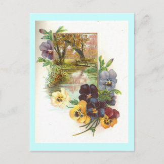 Stiefmütterchen Postkarte