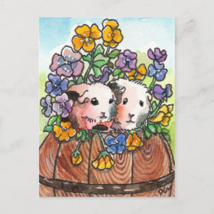 Stiefmütterchen und Freunde Postkarte