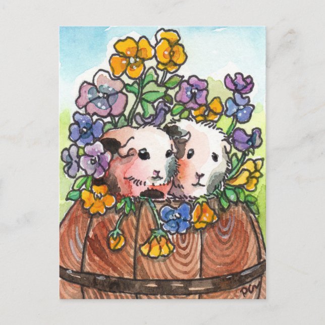 Stiefmütterchen und Freunde Postkarte (Vorderseite)