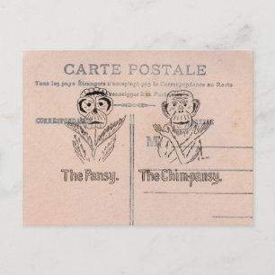 Stiefmütterchen und Schimpansen Humor Postkarte