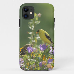 Stieglitz auf einer Glockenblume      Case-Mate iPhone Hülle