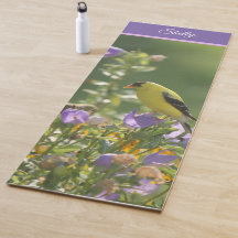 Stieglitz auf einer Glockenblumenblüte