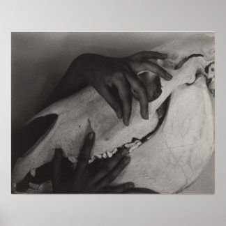 Stieglitz Georgia O'Keeffe Hands Horse Skull Foto Poster
