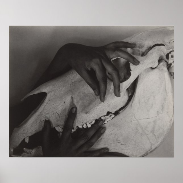 Stieglitz Georgia O'Keeffe Hands Horse Skull Foto Poster (Vorne)
