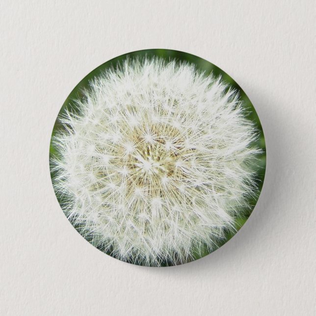 Stier Button (Vorderseite)