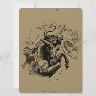 Stier Constellation Hevelius 1690 Gravur