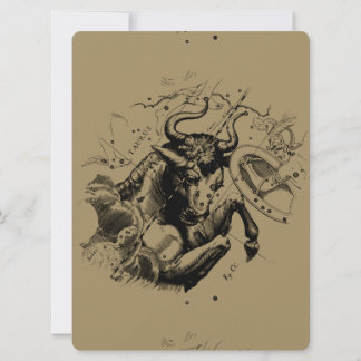 Stier Constellation Hevelius 1690 Gravur