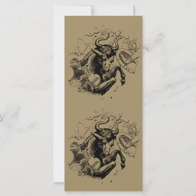 Stier Constellation Hevelius 1690 Gravur (Vorderseite)