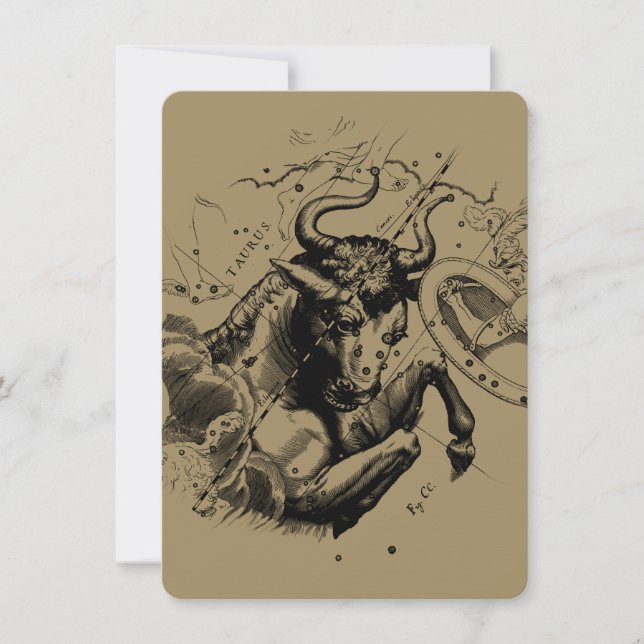 Stier Constellation Hevelius 1690 Gravur (Vorderseite)