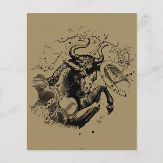 Stier Constellation Hevelius 1690 Gravur Flyer (Vorne)