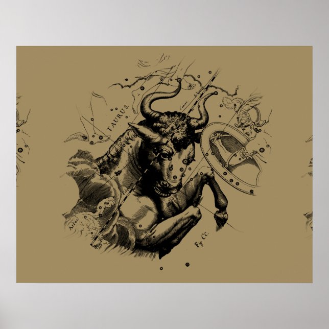 Stier Constellation Hevelius 1690 Gravur Poster (Vorne)