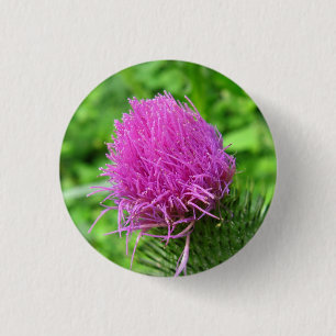 Stier-Distel-Knopf Button