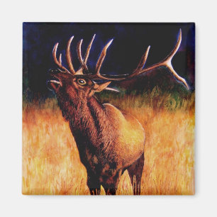 Stier-Elch-Anruf vom wilden, Magnet