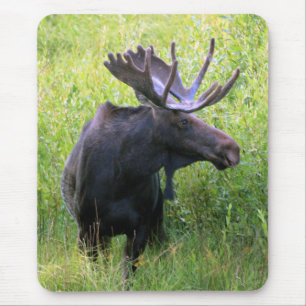 Stier-Elche Mousepad