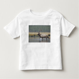 Stier-Elchüberfahrtfluß im Schneesturm, Kleinkind T-shirt