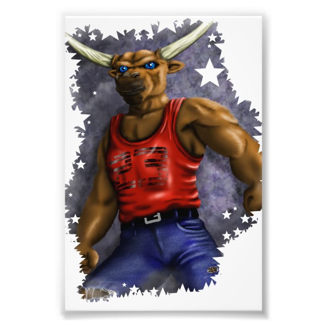 Stier Fotodruck (Vorne)