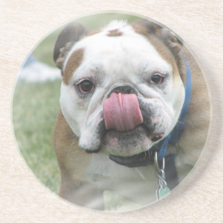 Stier-HundeUntersetzer Getränkeuntersetzer