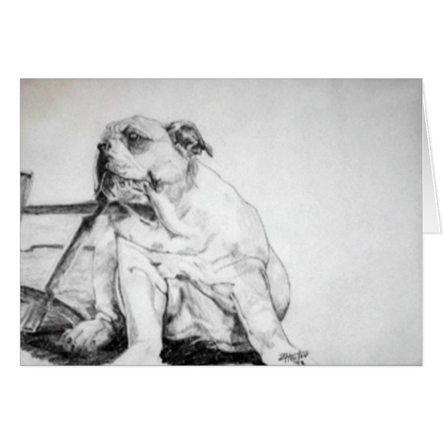 Stier-Hundewelpe (Vorderseite (Horizontal))