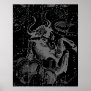 Stier-Konstellation Hevelius Dekor 1690 Poster