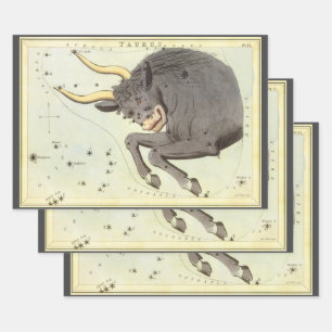 Stier Taurus, Vintage Konstellation Urania's Spieg Geschenkpapier Set