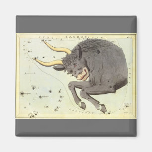 Stier Taurus, Vintage Konstellation Urania's Spieg Magnet