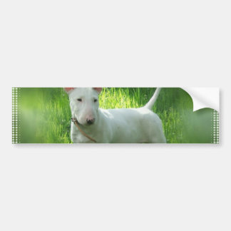 Stier-Terrier-Autoaufkleber Autoaufkleber