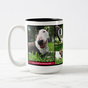 Stier-Terrier-"LiveLiebe-Lachen" Foto-Tasse Zweifarbige Tasse