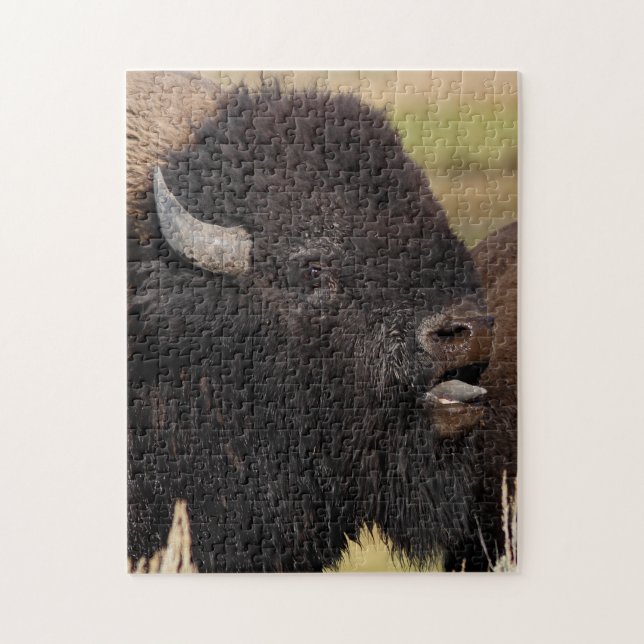 Stierbisonbrummen Puzzle (Vertikal)