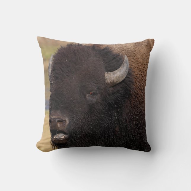 Stierbisonunterhaltung Kissen (Vorderseite)