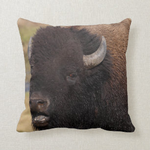 Stierbisonunterhaltung Kissen