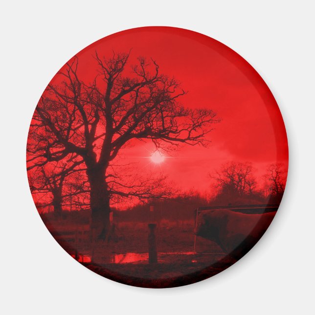 STIERE MAGNET (Vorne)