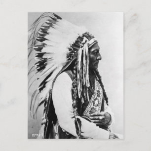 Stierstier, ein Hunkpapa-Sioux Postkarte