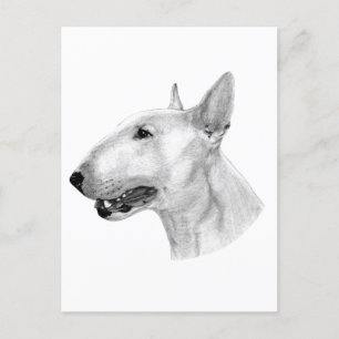Stift Bull Terrier zeichnend Postkarte