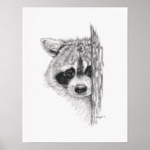 Stift Zeichnend "Peeking Raccoon" Poster