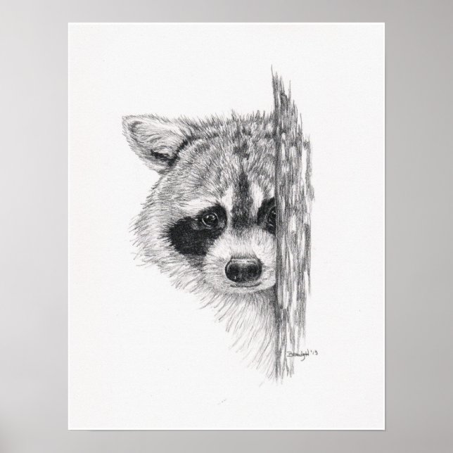 Stift Zeichnend "Peeking Raccoon" Poster (Vorne)