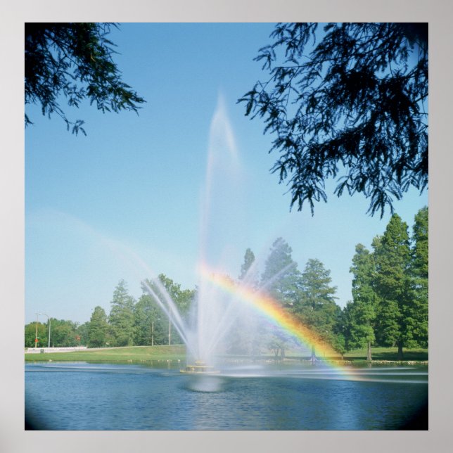 STIFTUNG UND RAINBOW SIND WALDPARK POSTER (Vorne)
