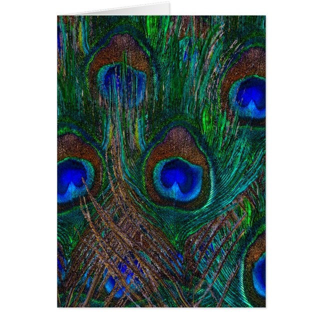 Stildekoration der Pfauenfedern in der Nacht (Vorne)