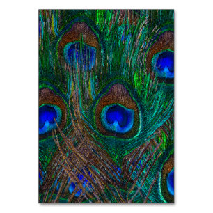 Stildekoration der Pfauenfedern in der Nacht Tischnummer