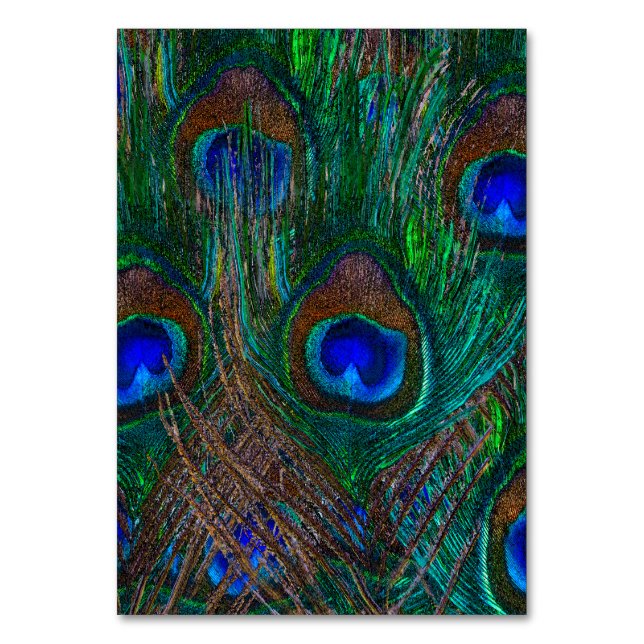 Stildekoration der Pfauenfedern in der Nacht Tischnummer (Vorderseite)