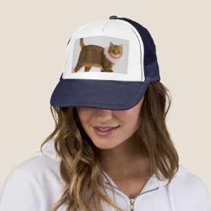 Stilechte Katze in rosa Absätzen und flauschigem G Truckerkappe