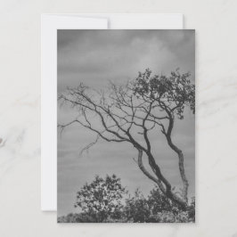 stilisierte amerikanische Gothic-Foto-Reprint von Feiertagskarte