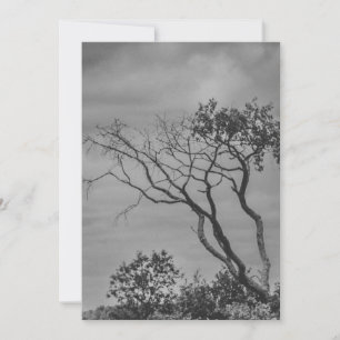 stilisierte amerikanische Gothic-Foto-Reprint von Feiertagskarte