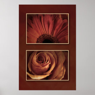 Stilisierte Daisy Rose Floating Images Print Poster