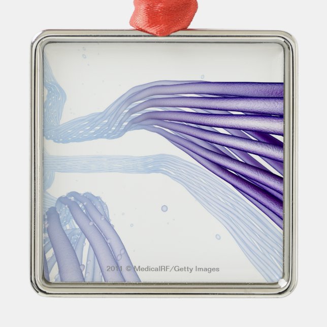 Stilisierte Nervenfasern Silbernes Ornament (Vorne)
